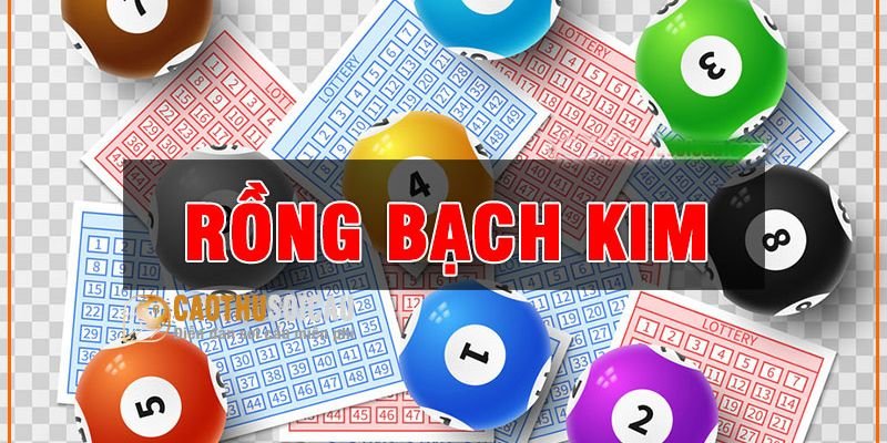 Rồng bạch kim là trang soi cầu lô có tính chính xác cao